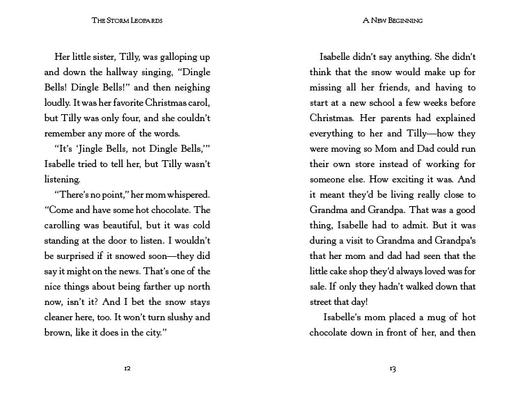 The Storm Leopards US - Paperback / softback