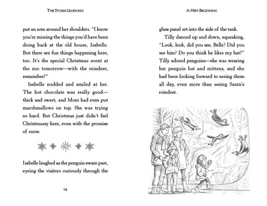 The Storm Leopards US - Paperback / softback