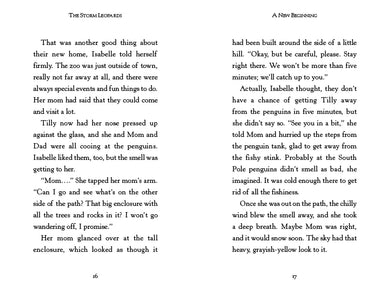 The Storm Leopards US - Paperback / softback