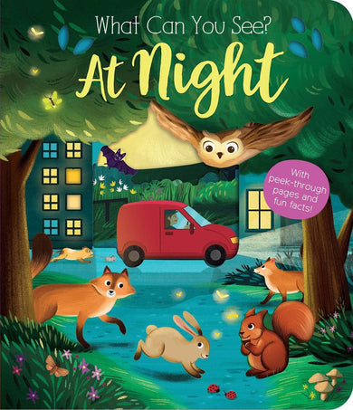 What Can You See? At Night-Children’s / Teenage fiction: Nature and animal stories-買書書 BuyBookBook