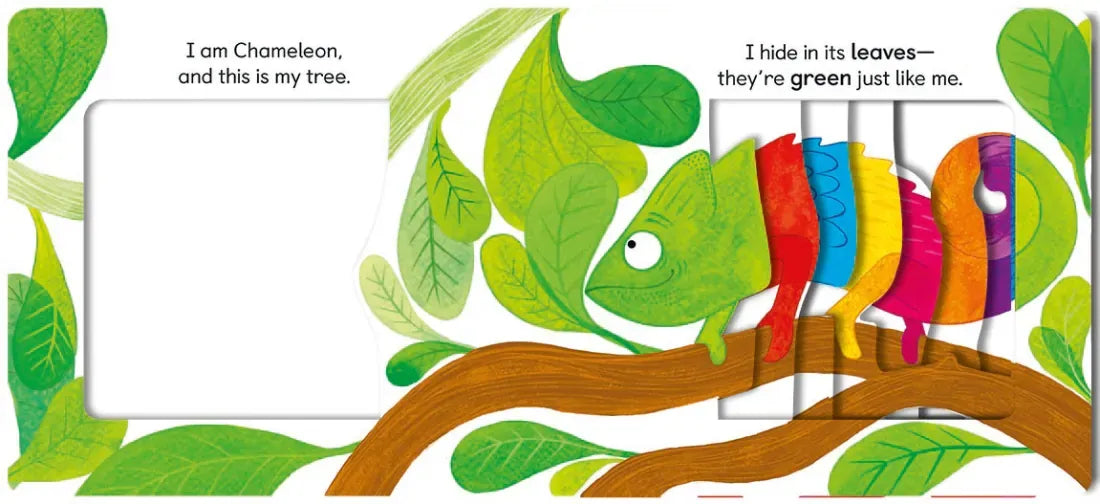 Chameleon's Colors US - Board book