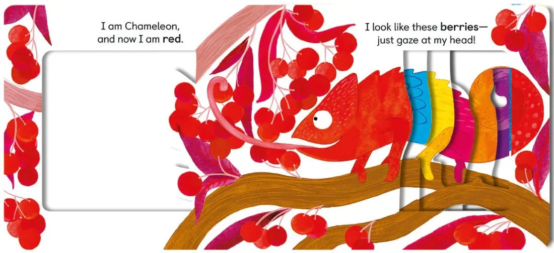 Chameleon's Colors US - Board book
