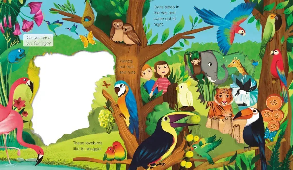 What Can You See? Animal Adventure US - Board book