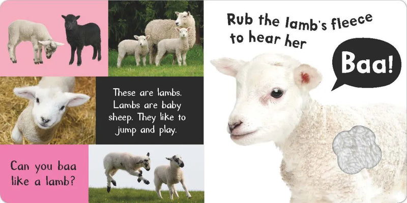 Noisy Farm US - Board book