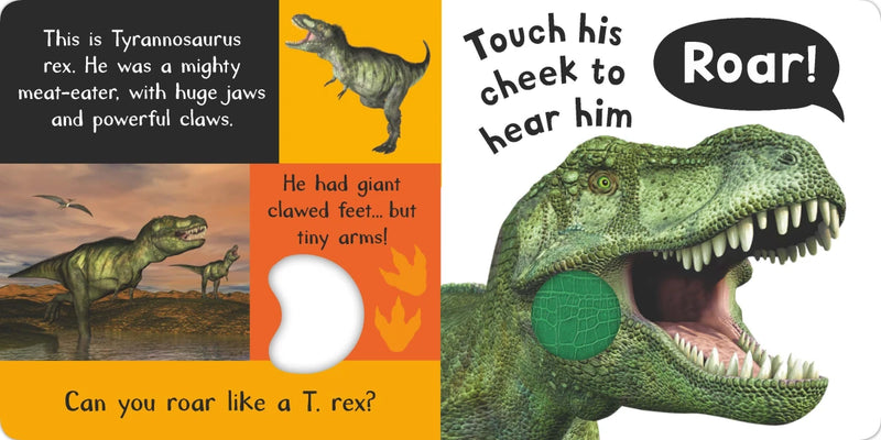 Noisy Dinosaurs US - Board book