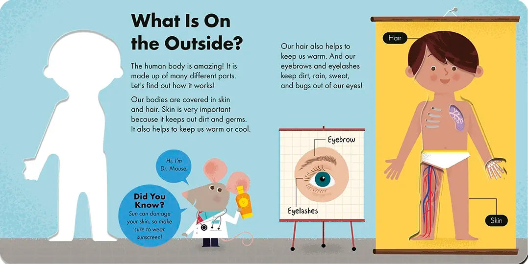 How it Works: Human Body US - Board book