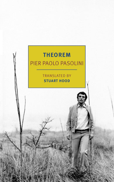 Theorem-Fiction: general and literary-買書書 BuyBookBook