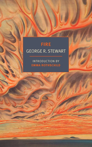 Fire-Thriller / suspense fiction-買書書 BuyBookBook