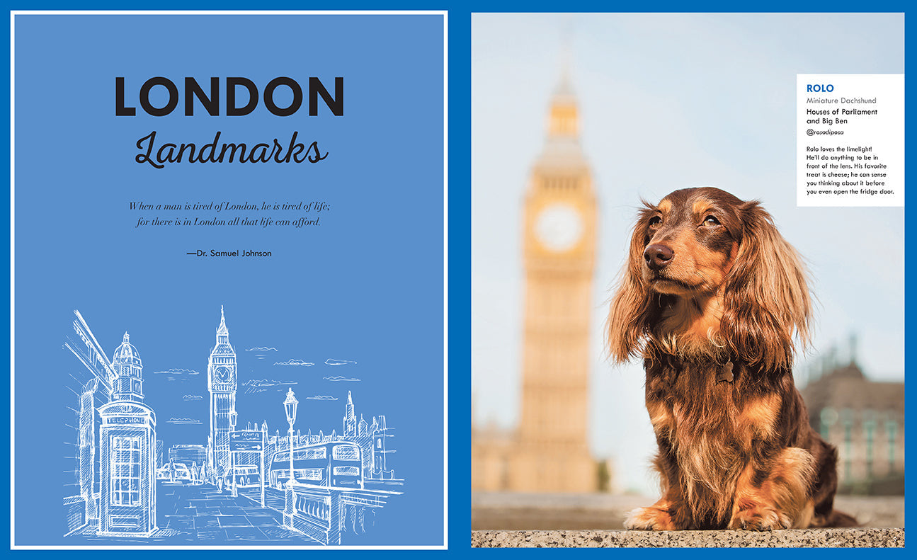 Canines of London inside page 1