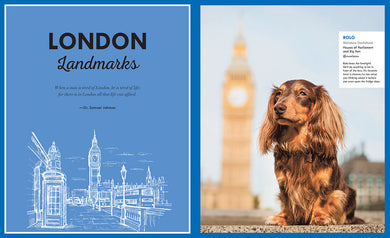 Canines of London inside page 1