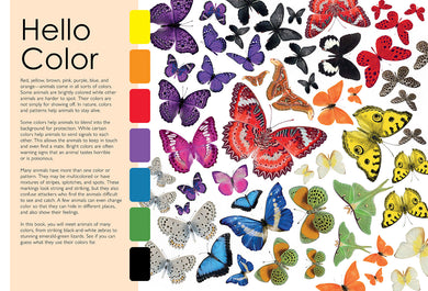 Colorful Creatures inside page 1