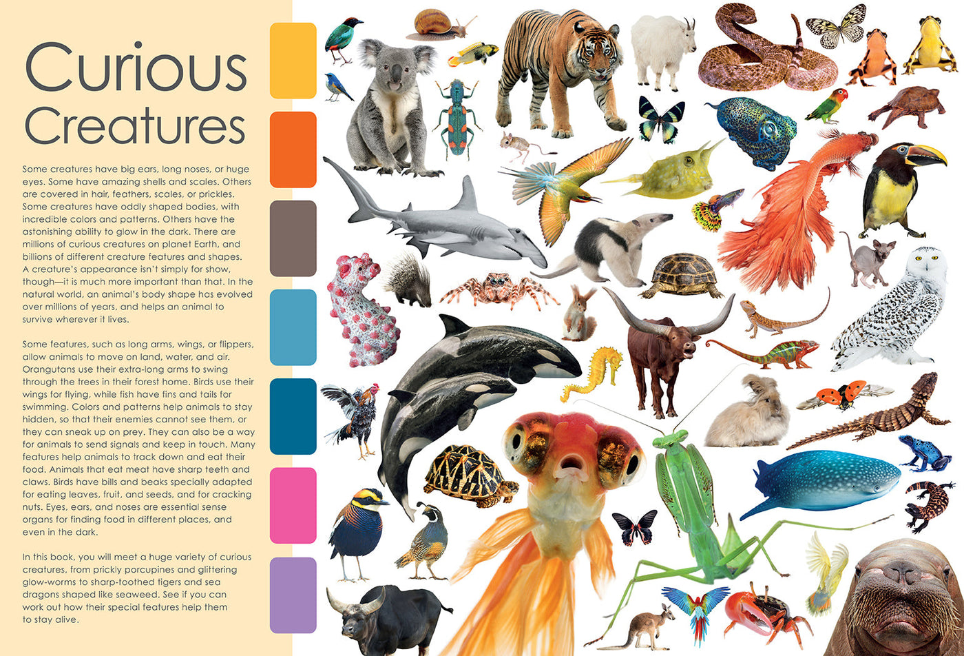 Curious Creatures inside page 1