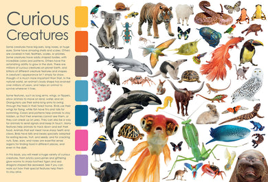 Curious Creatures inside page 1