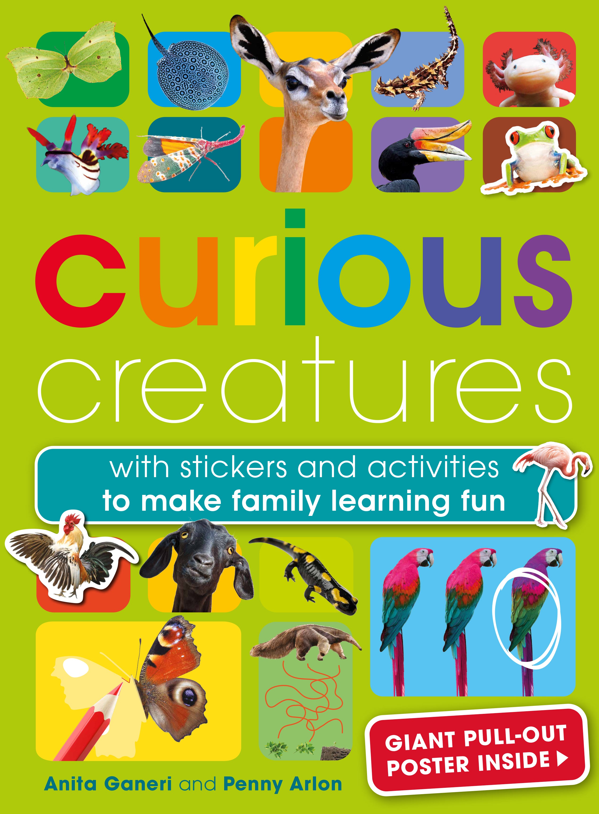 Curious Creatures