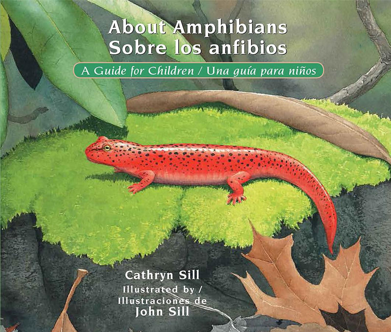 About Amphibians / Sobre los anfibios-Children’s / Teenage general interest: Nature and animals-買書書 BuyBookBook
