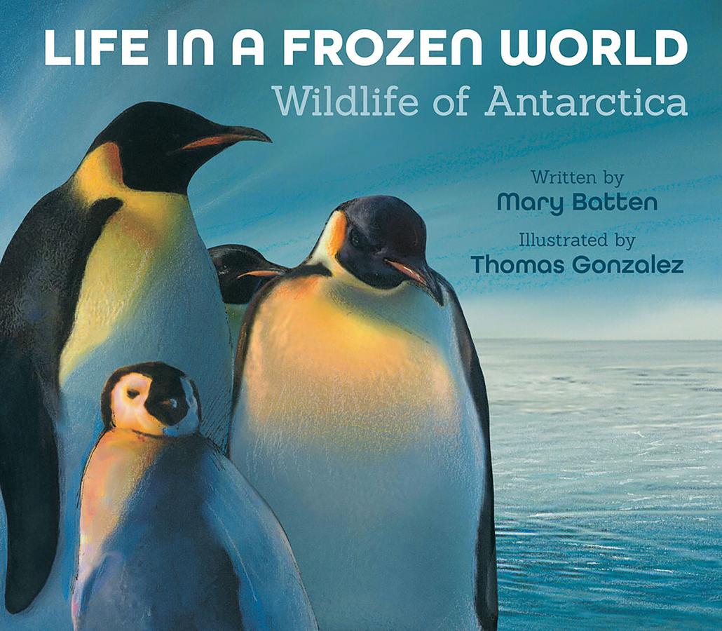 Life in a Frozen World-Children’s / Teenage general interest: Nature and animals-買書書 BuyBookBook