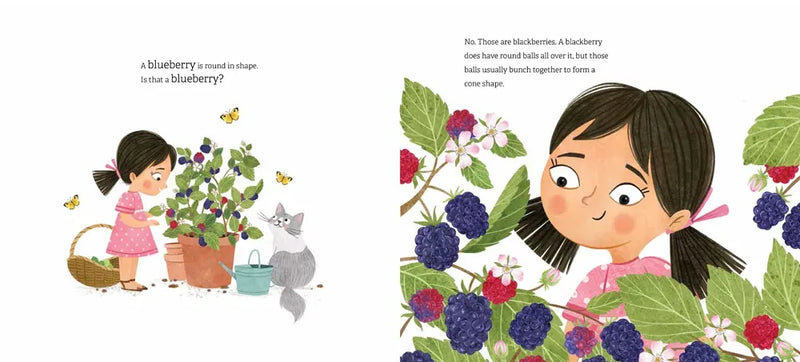 Linh's Rooftop Garden US - Hardback