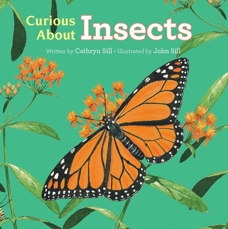 Curious About Insects-Children’s / Teenage general interest: Nature and animals-買書書 BuyBookBook