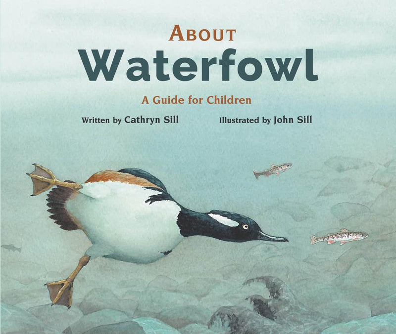 About Waterfowl-Children’s / Teenage general interest: Nature and animals-買書書 BuyBookBook
