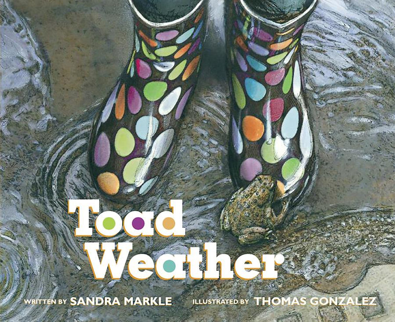 Toad Weather-Children’s / Teenage fiction: Nature and animal stories-買書書 BuyBookBook