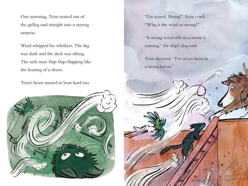 Trim Sails the Storm US - Paperback / softback