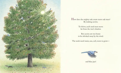 The Blue Jays That Grew a Forest US - Hardback