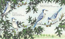 The Blue Jays That Grew a Forest US - Hardback