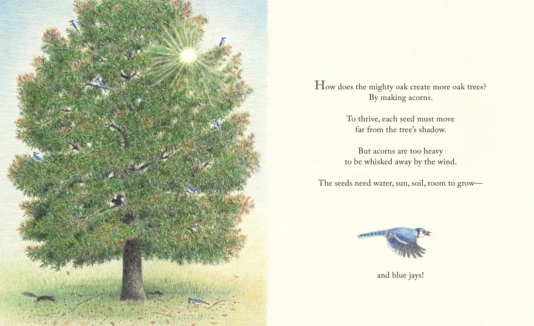 The Blue Jays That Grew a Forest US - Hardback
