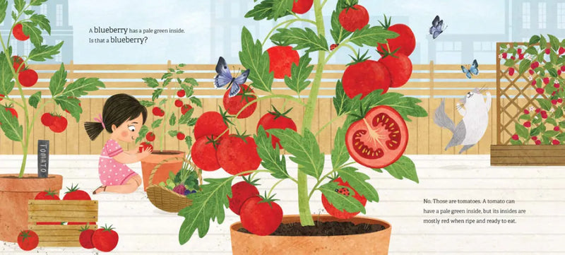 Linh's Rooftop Garden US - Paperback / softback