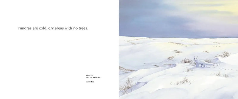 About Habitats: Tundras US - Paperback / softback