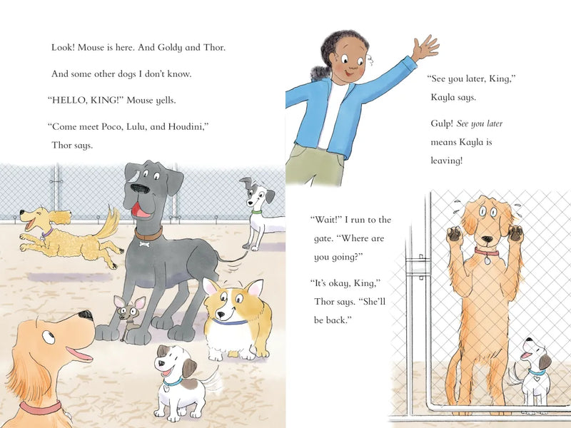 King & Kayla and the Case of the Escape Artist US - Hardback