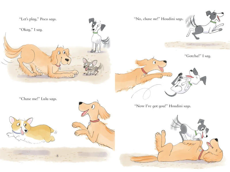 King & Kayla and the Case of the Escape Artist US - Hardback