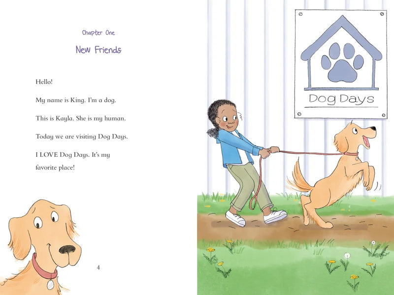 King & Kayla and the Case of the Escape Artist US - Hardback