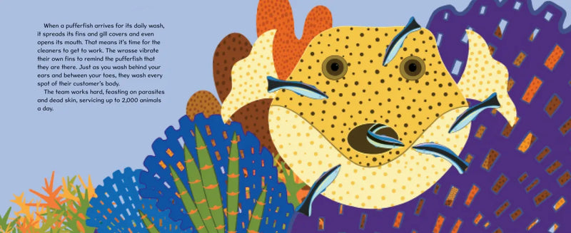 Don't Eat the Cleaners! US - Hardback