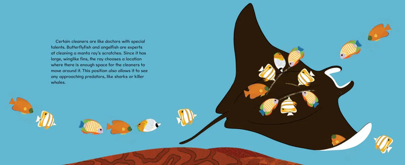 Don't Eat the Cleaners! US - Hardback