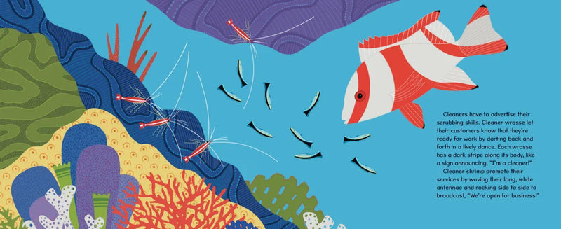 Don't Eat the Cleaners! US - Hardback