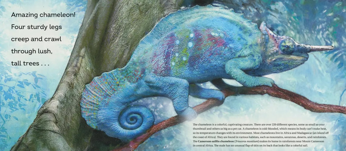 Behold the Chameleon US - Hardback