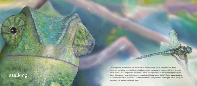 Behold the Chameleon US - Hardback