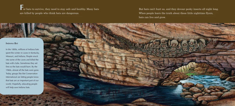 A Place for Bats (Third Edition) US - Hardback