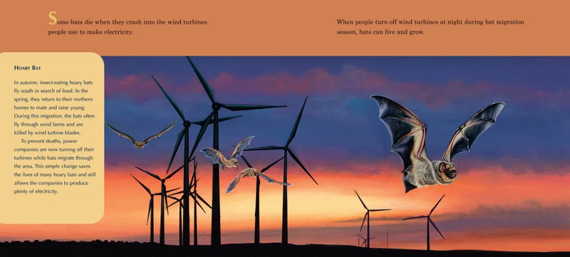 A Place for Bats (Third Edition) US - Hardback