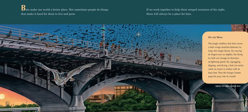 A Place for Bats (Third Edition) US - Hardback