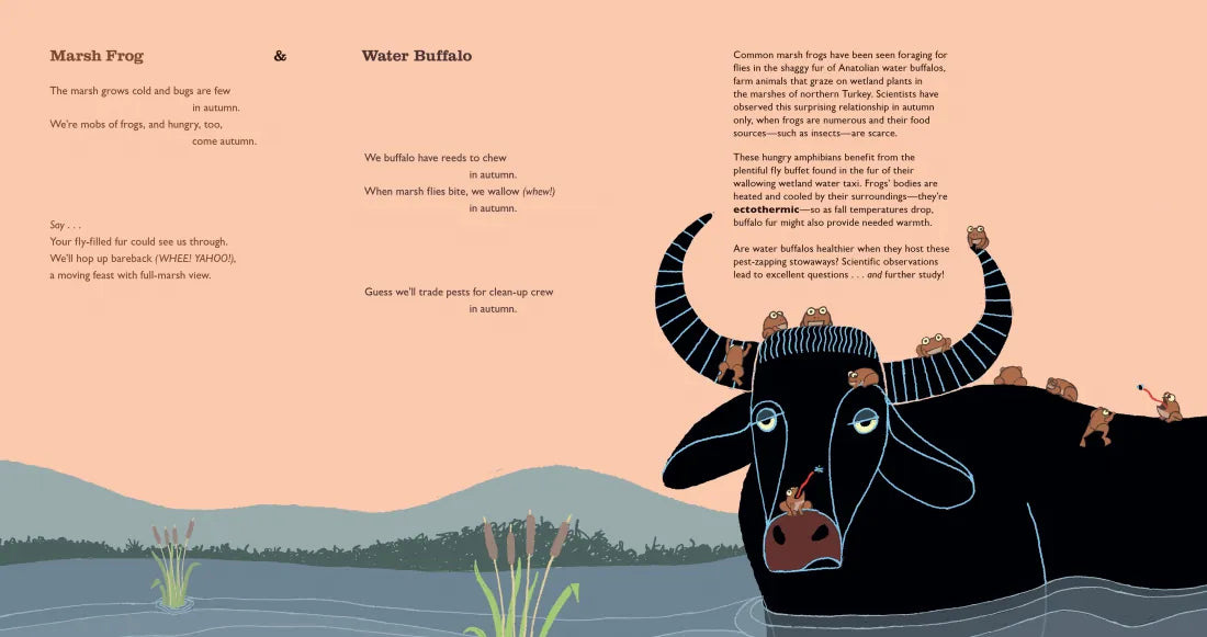 Nature's Remarkable Partners US - Hardback