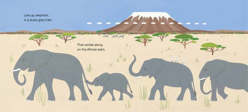 Line Up! US - Paperback / softback