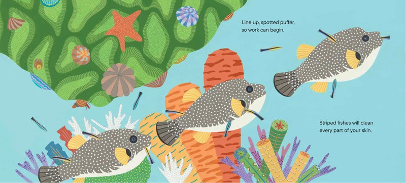 Line Up! US - Paperback / softback