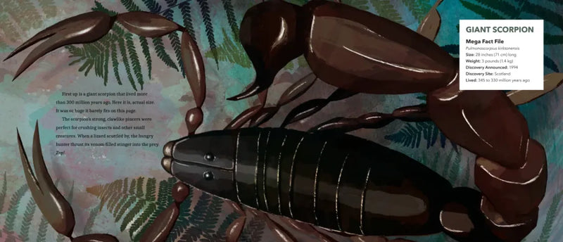 Mega-Predators of the Past US - Paperback / softback