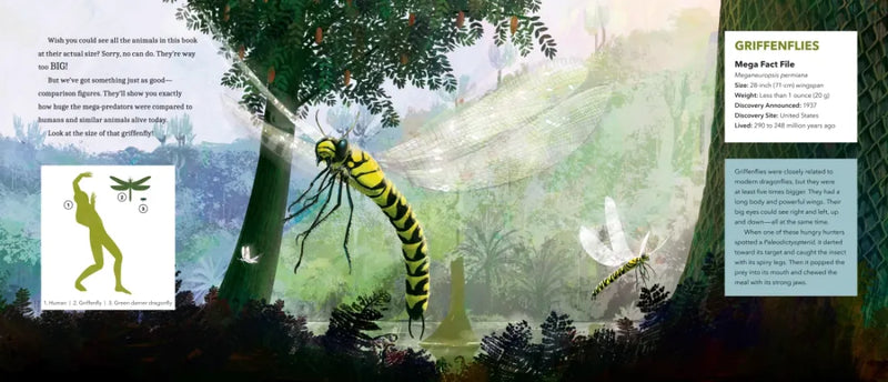 Mega-Predators of the Past US - Paperback / softback