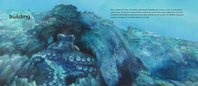 Behold the Octopus! US - Hardback