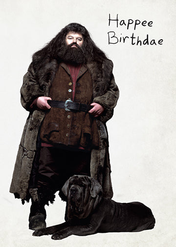 Harry Potter: Birthday Cake Signature Pop-Up Card inside page 1