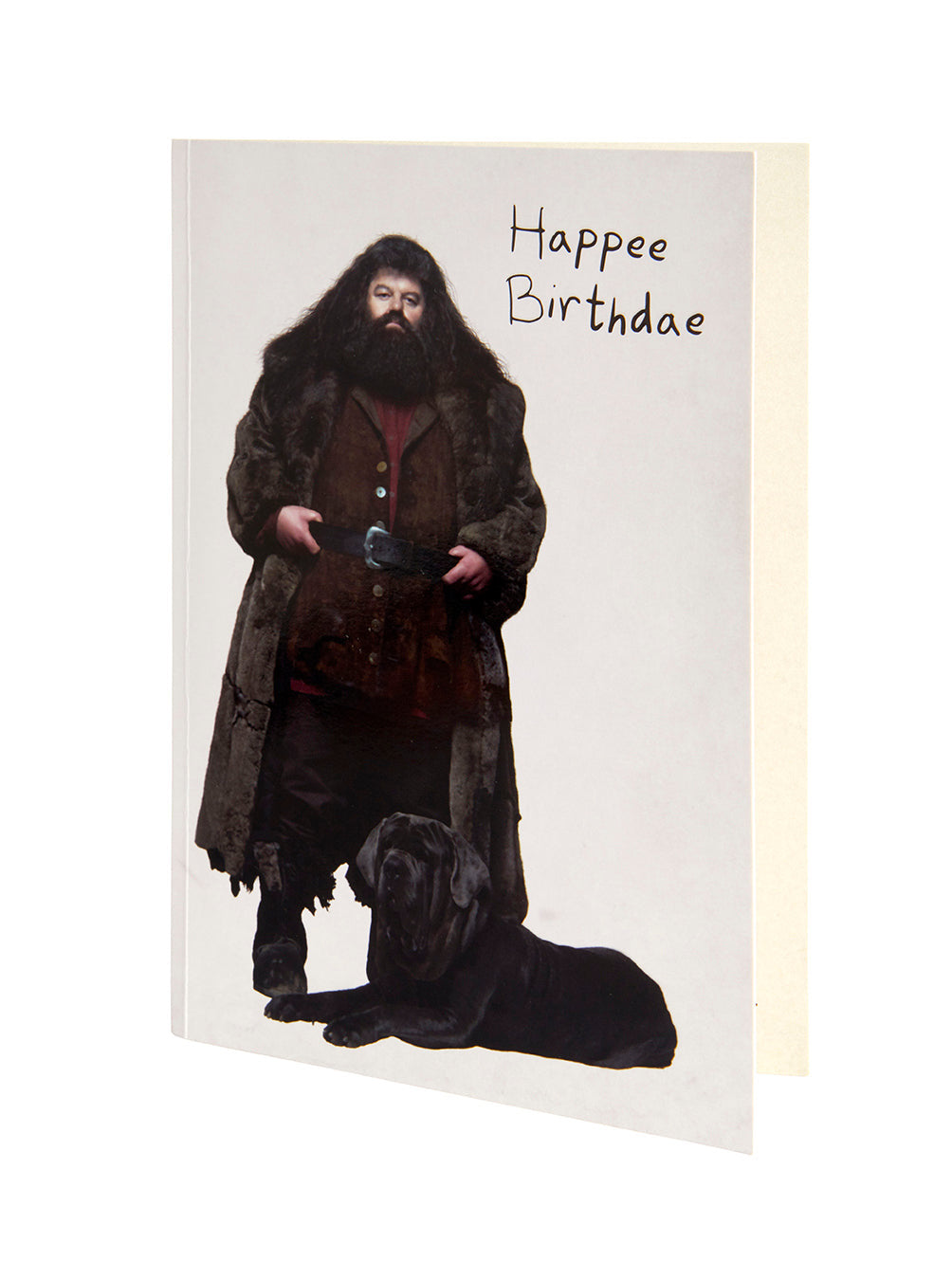 Harry Potter: Birthday Cake Signature Pop-Up Card inside page 2