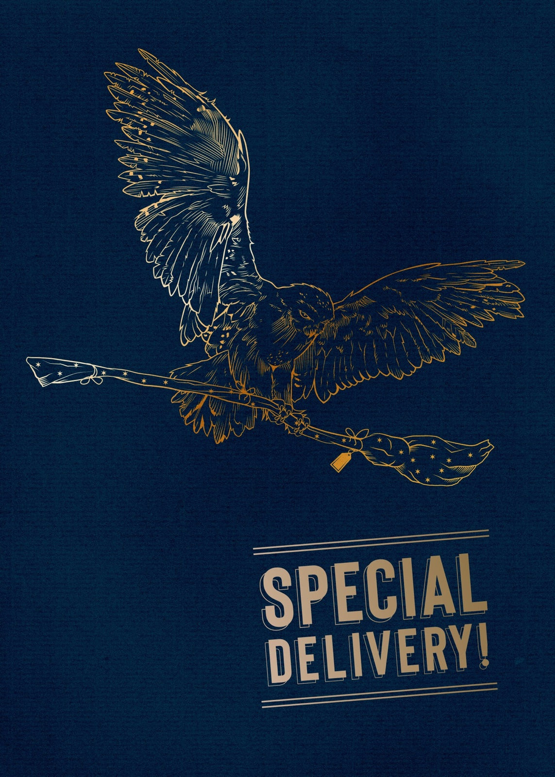 Harry Potter: Hedwig Signature Pop-Up Card inside page 1